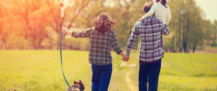 A man and woman holding hands while walking their dog and carrying their daughter in a park